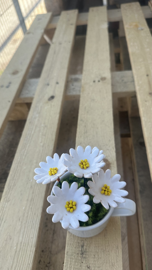 Hrníček s kopretinami — foto 4