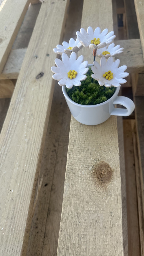 Hrníček s kopretinami — foto 2