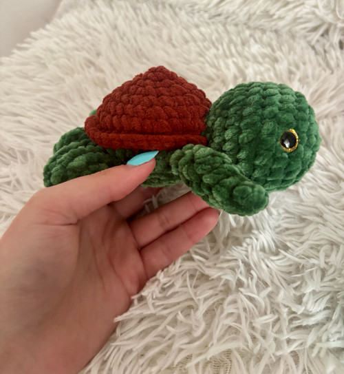 Háčkovaná želva — foto 3