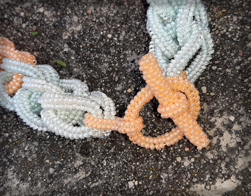 Pastel chain - náhrdelník — foto 4