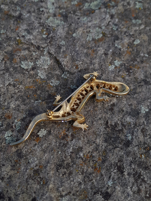 Brož - ještěrka — foto 2
