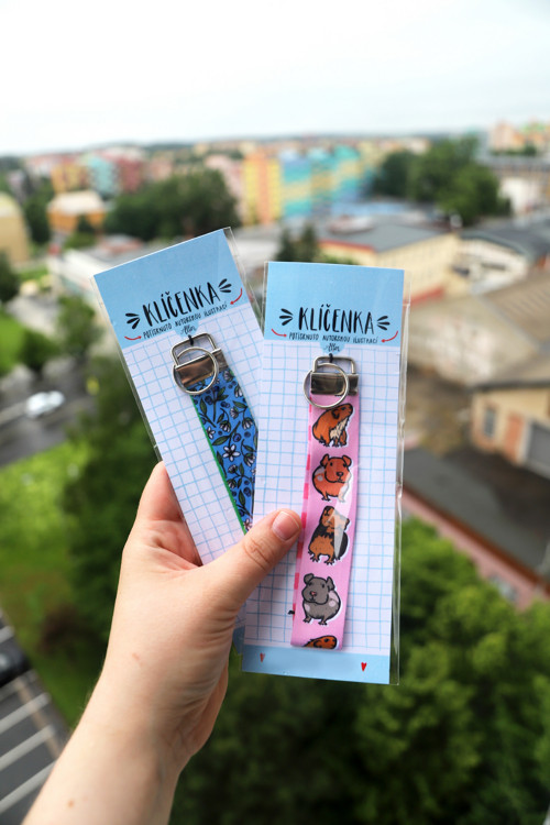 Klíčenka- Cestovatelská — foto 4