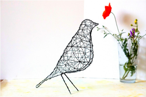 Vtáčik minimalistický — foto 2