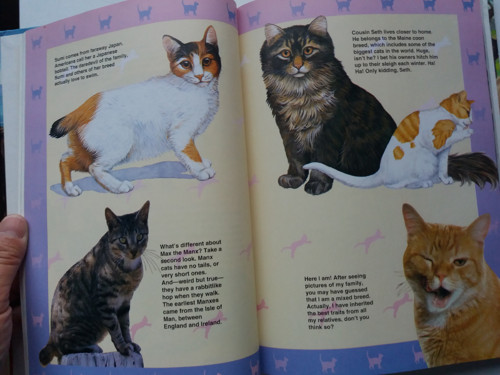 Pets and other animals — foto 3
