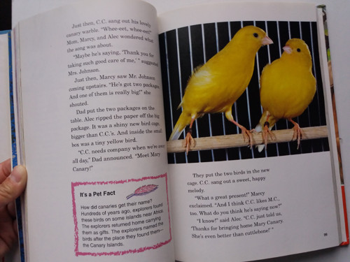 Pets and other animals — foto 6