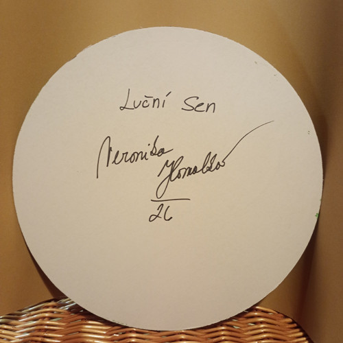 Luční sen - autorský Obraz — foto 2