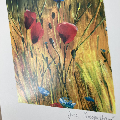 U lesa - Vlčí mák — foto 3