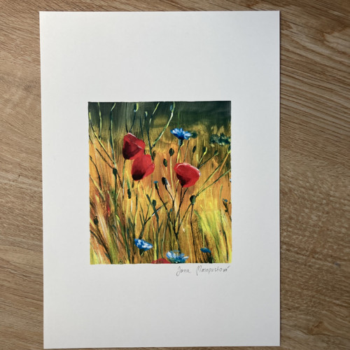 U lesa - Vlčí mák — foto 4