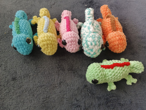 Chameleonci — foto 2