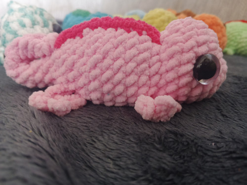 Chameleonci — foto 4
