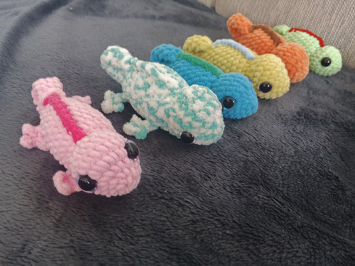 Chameleonci — foto 3