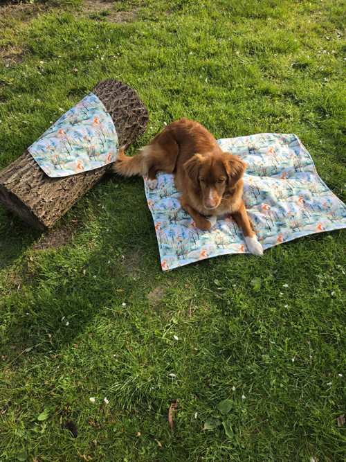 Softshellový podsedák na výlety liška — foto 3