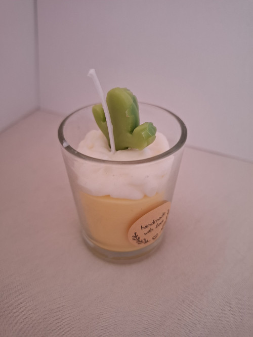 Malý kaktus — foto 3