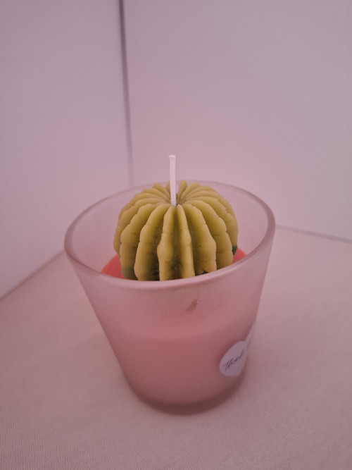 Kaktus samotář — foto 3