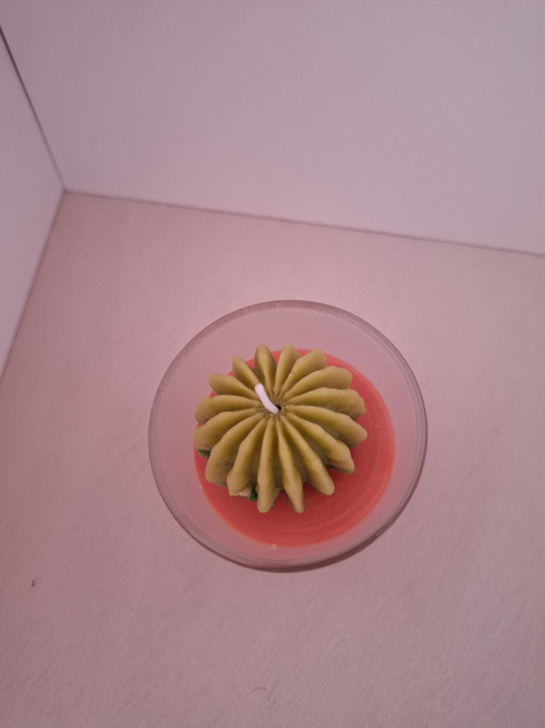 Kaktus samotář — foto 2