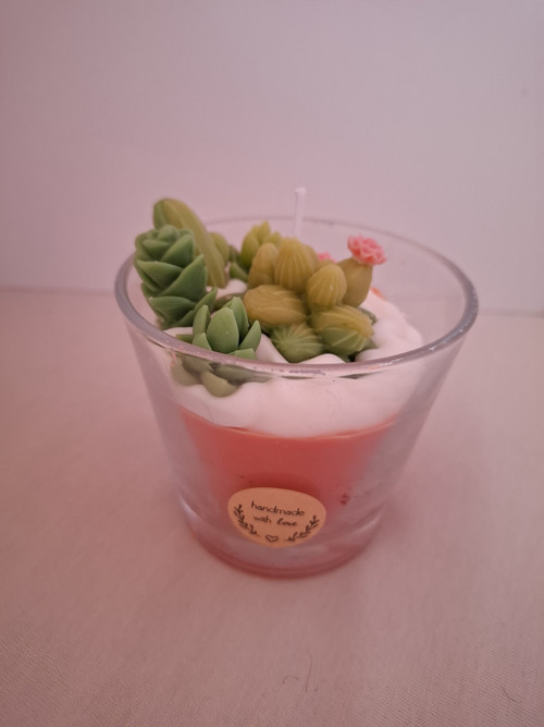 Rozkvetlé kaktusy — foto 3