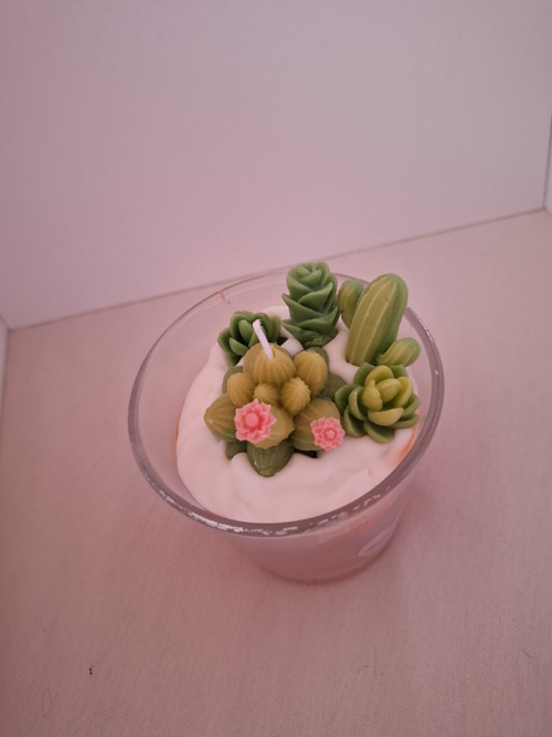 Rozkvetlé kaktusy — foto 2
