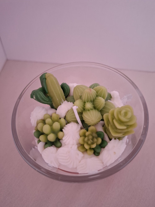 Zasněžené kaktusy — foto 3