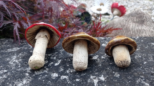 Keramické houbyčky s mochomůrkou — foto 3