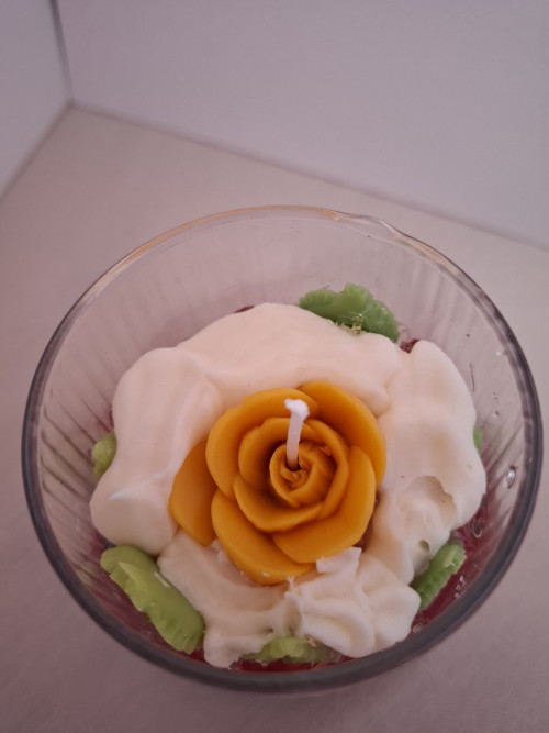 Žlutý tulipán — foto 3