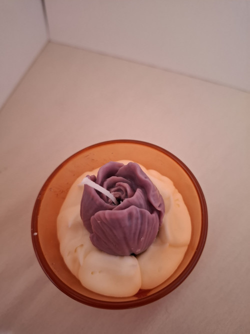 Tulipán v oblacích — foto 3