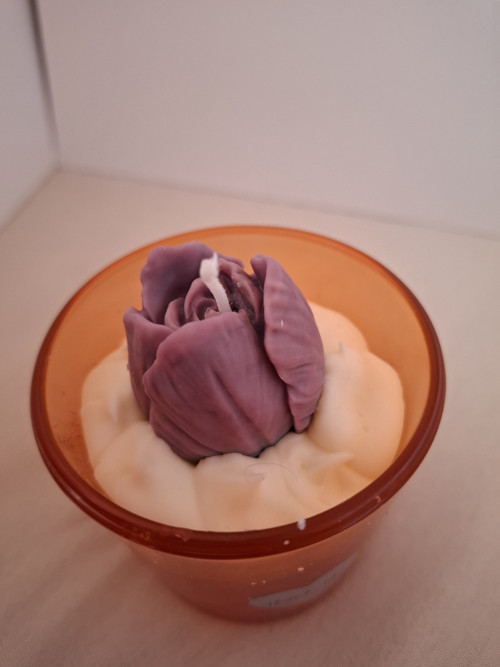 Tulipán v oblacích — foto 2