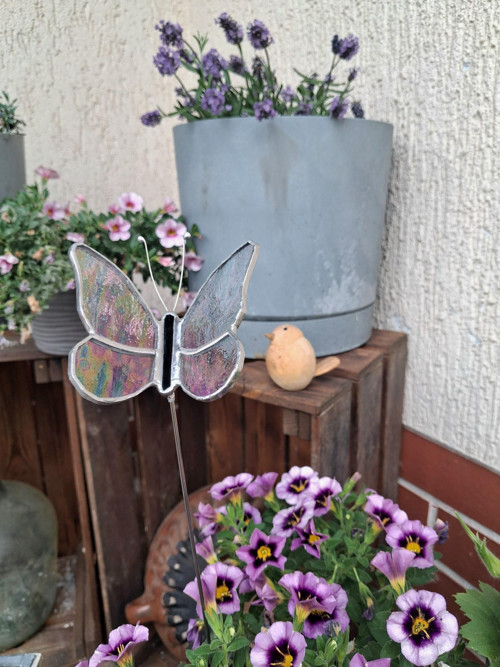 Duhový motýl - zápich — foto 3