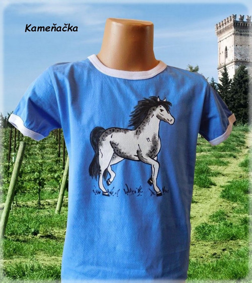 Koníček grošovaný - kůň, koník, hříbě, modrá — foto 3