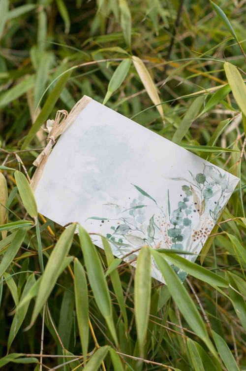 Přání Eucalyptus — foto 2