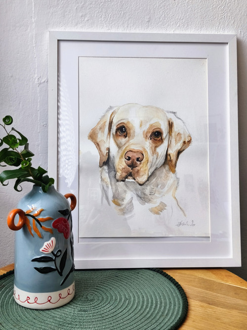 Portrét labradora — foto 3