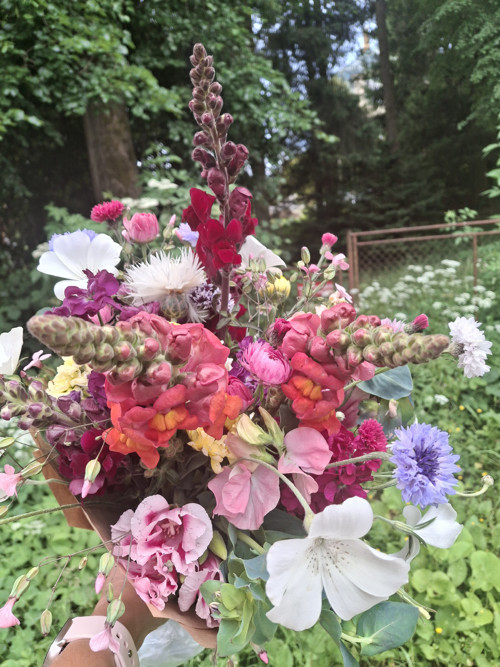 Kytice — foto 2