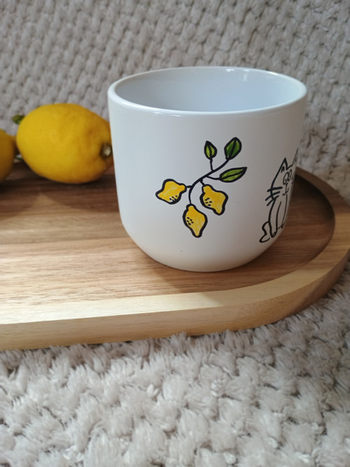 Hrnek kočička s citronádou — foto 3