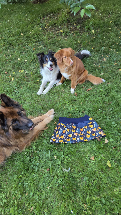 Mini sukně nejen na pamlsky-srdíčka — foto 4