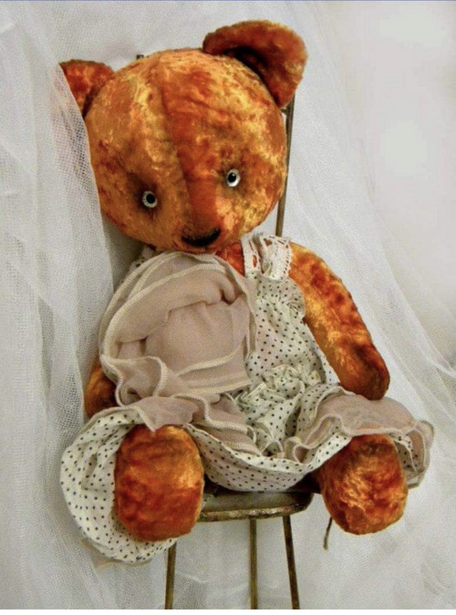 Oranžový medvídek — foto 2