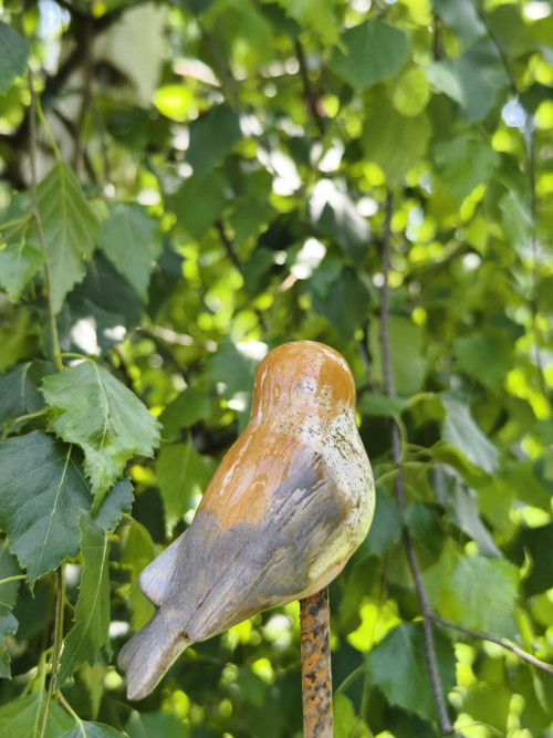 Rehek Zahradní — foto 4