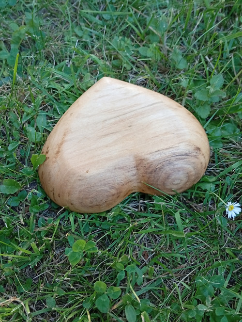 Srdíčko od Vírské přehrady — foto 4