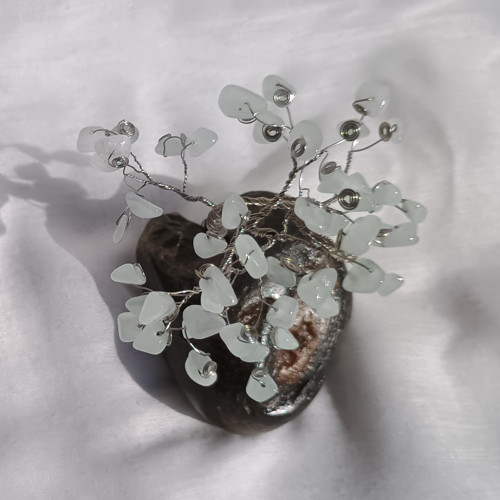 Chalcedon na srdci — foto 2