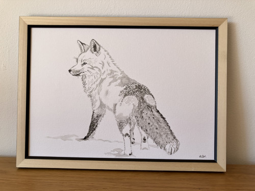 Hledání nových příležitostí — foto 3