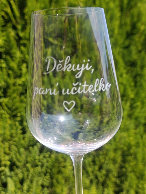 Děkuji, paní učitelko — foto 3
