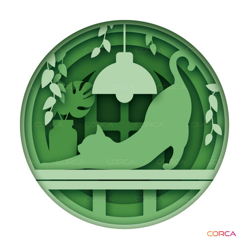Obraz kočka — foto 4