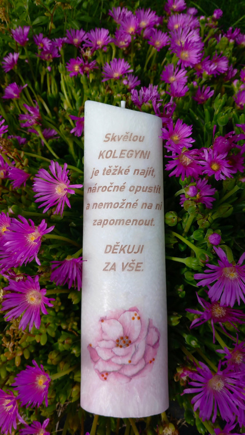 Skvělá kolegyně. — foto 2
