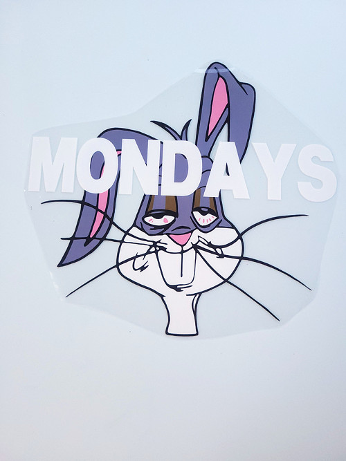 Zajíc "Mondays" — foto 2