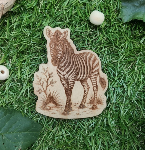 Magnetka Zebra — foto 2
