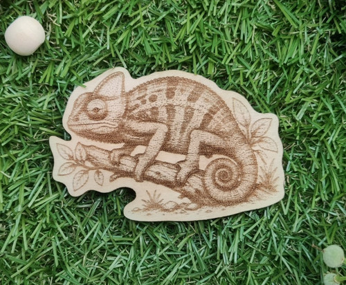 Magnetka Chameleon — foto 2
