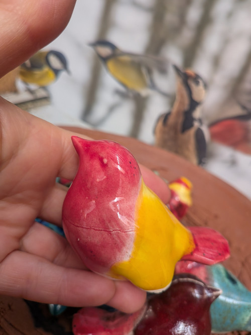 Keramické ptactvo Colours — foto 5