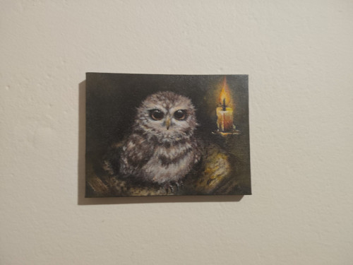 Moudrá sova — foto 2