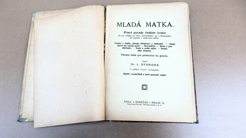 Mladá matka — foto 2