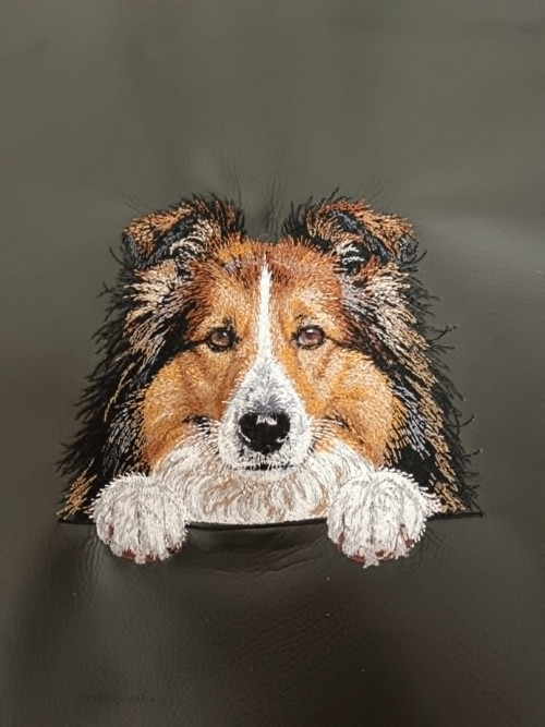 Batoh Safe - Sheltie — foto 3