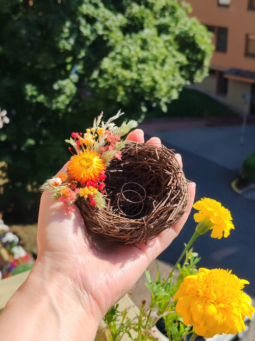 Hnízdečko na prstýnky V červánkách — foto 4