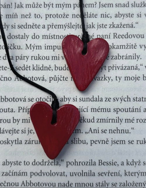 Srdce — foto 4
